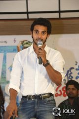 Pyaar Mein Padipoyane Movie Success Meet